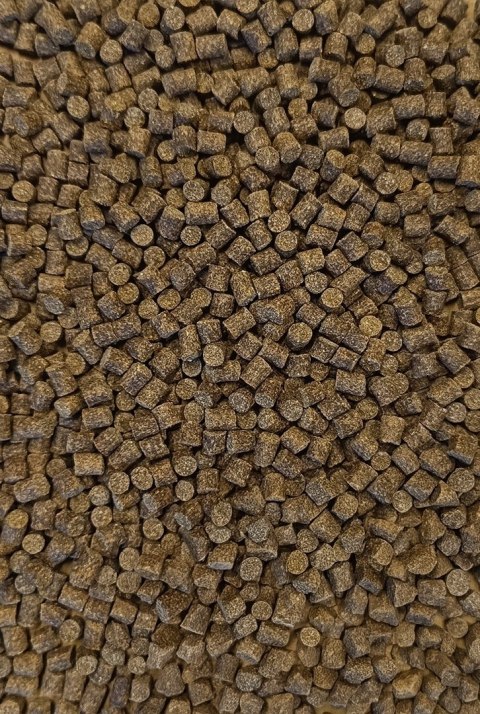 Pellet Feeder Bait Mehod Pellet Club Series 6mm 800g Jasny