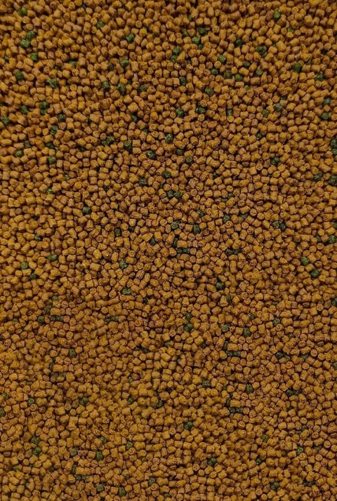 Pellet Feeder Bait Micro Pellet 2mm Ananas & Kwas masłowy 800g