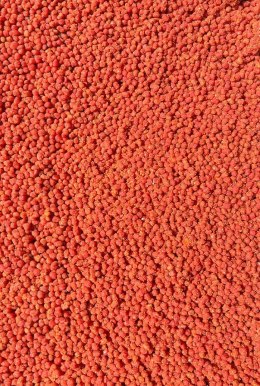 Pellet Gotowy Feeder Bait Czosnek & Śliwka 2mm 600g w wiaderku