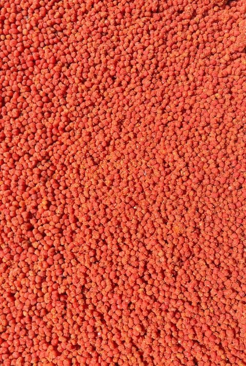 Pellet Gotowy Feeder Bait Czosnek & Śliwka 2mm 600g w wiaderku
