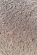 Pellet Gotowy Feeder Bait Halibut 2mm 600g w wiaderku