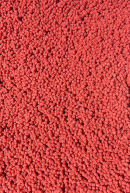 Pellet Gotowy Feeder Bait Ochotka 2mm 600g w wiaderku