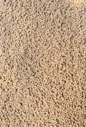 Pellet Gotowy Feeder Bait Orzech Tygrysi 2mm 600g w wiaderku
