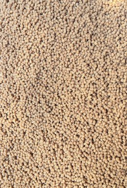 Pellet Gotowy Feeder Bait Orzech Tygrysi 2mm 600g w wiaderku