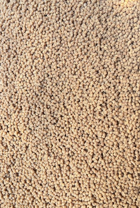 Pellet Gotowy Feeder Bait Orzech Tygrysi 2mm 600g w wiaderku