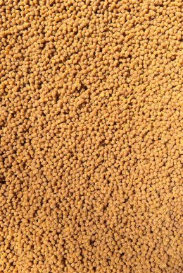 Pellet Gotowy Feeder Bait Sweet Corn 2mm 600g w wiaderku
