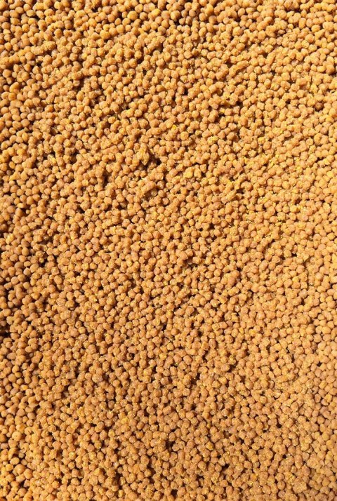 Pellet Gotowy Feeder Bait Sweet Corn 2mm 600g w wiaderku