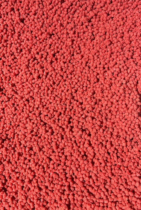 Pellet Gotowy Feeder Bait Truskawka 2mm 600g w wiaderku