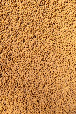 Pellet Gotowy Feeder Bait Wanilia 2mm 600g w wiaderku