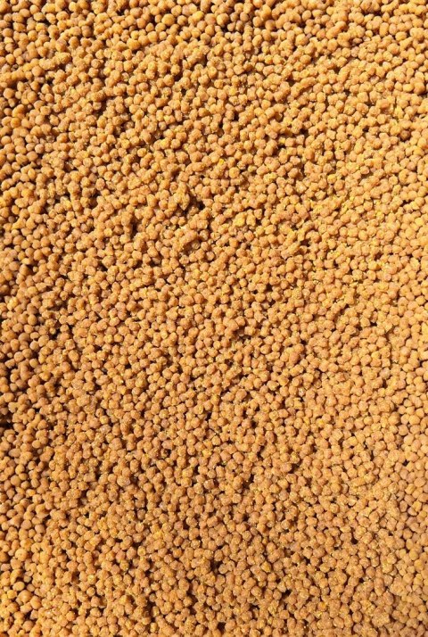 Pellet Gotowy Feeder Bait Wanilia 2mm 600g w wiaderku