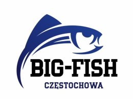 Pellet Waggler Big Fish 9mm Feeder Bait 800g