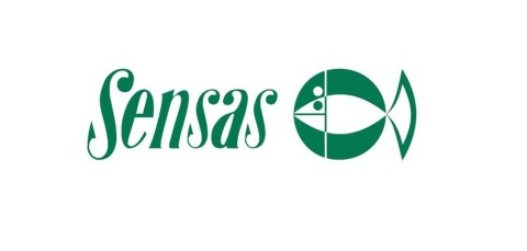 Wędka Sensas Black Arrow 300 G2 300CM 10-40G