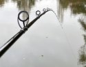Wędka Sensas Black Arrow Feeder 600 M 13ft 3.90m 60-100g