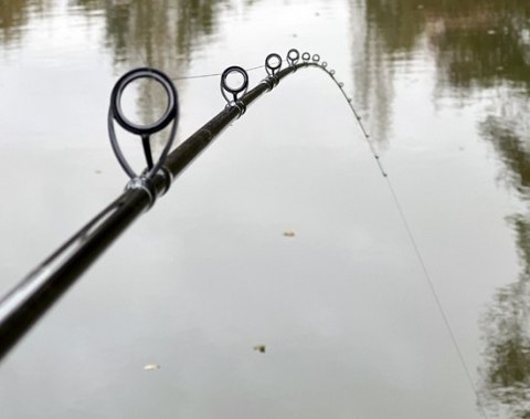 Wędka Sensas Black Arrow Feeder 600 M 13ft 3.90m 60-100g